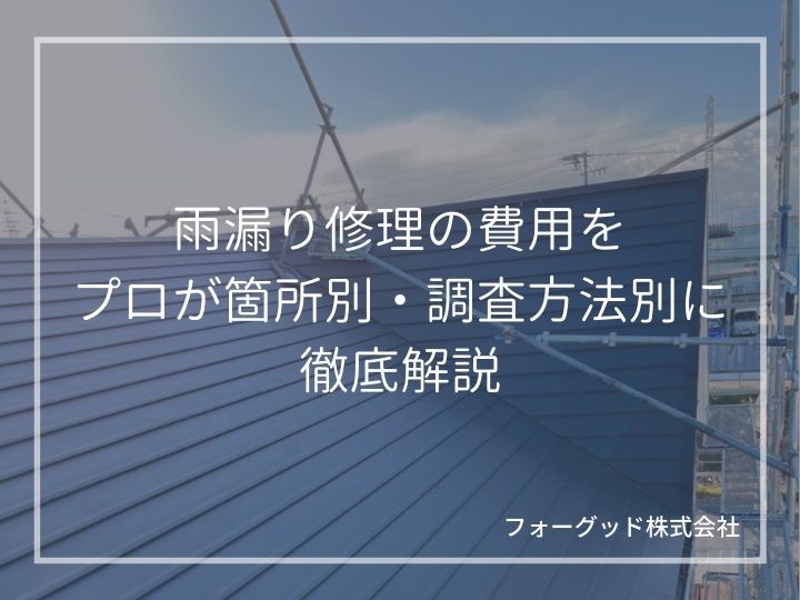 雨漏り修理の費用をプロが箇所別・調査方法別に徹底解説！ | 防水