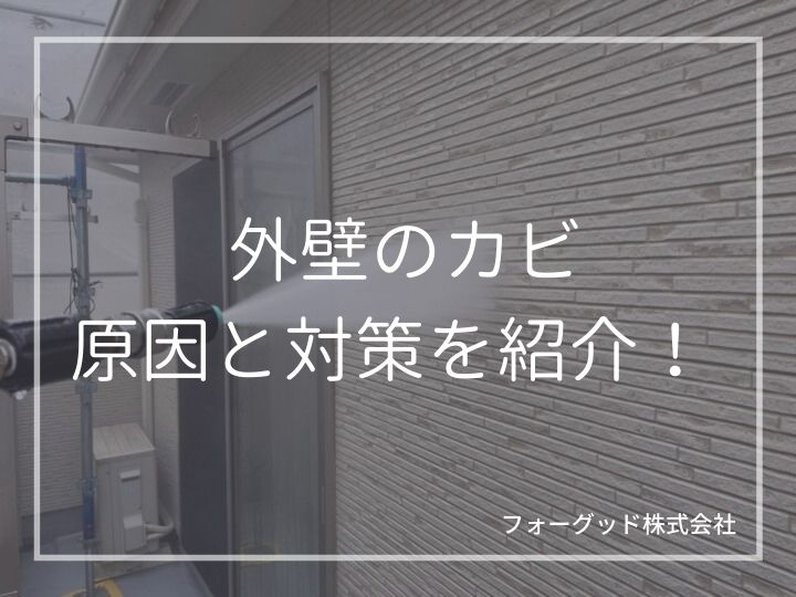 外壁のカビの発生原因や発生しやすい場所について。苔・汚れとの違いや対処法を網羅的に解説 | 外壁塗装