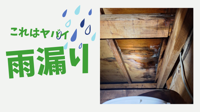 日常ブログ