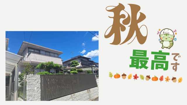 日常ブログ